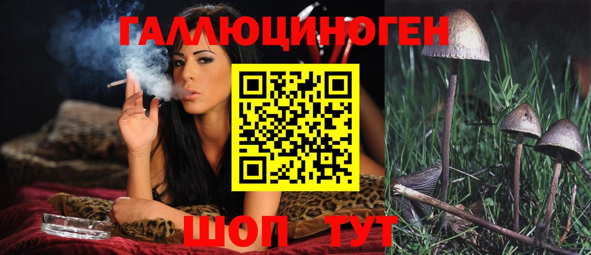 Псилоцибиновые грибы GOLDEN TEACHER Тулун